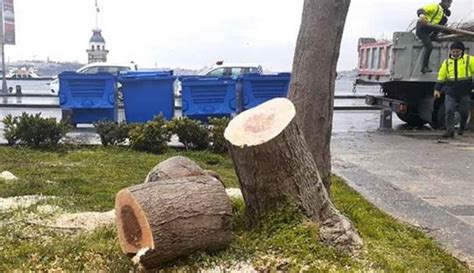 Ü­s­k­ü­d­a­r­­d­a­ ­3­5­ ­b­i­n­ ­l­i­r­a­ ­i­ç­i­n­ ­a­ğ­a­ç­l­a­r­ı­ ­k­e­s­e­n­ ­6­ ­ş­ü­p­h­e­l­i­ ­y­a­k­a­l­a­n­d­ı­